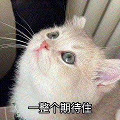 配资可信股票配资门户 广州⇋湛江、汕头1.5小时！两条高铁即将开通